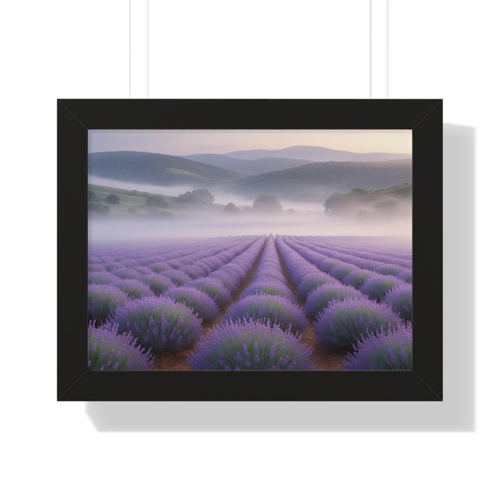 Lavender Fields Framed Poster