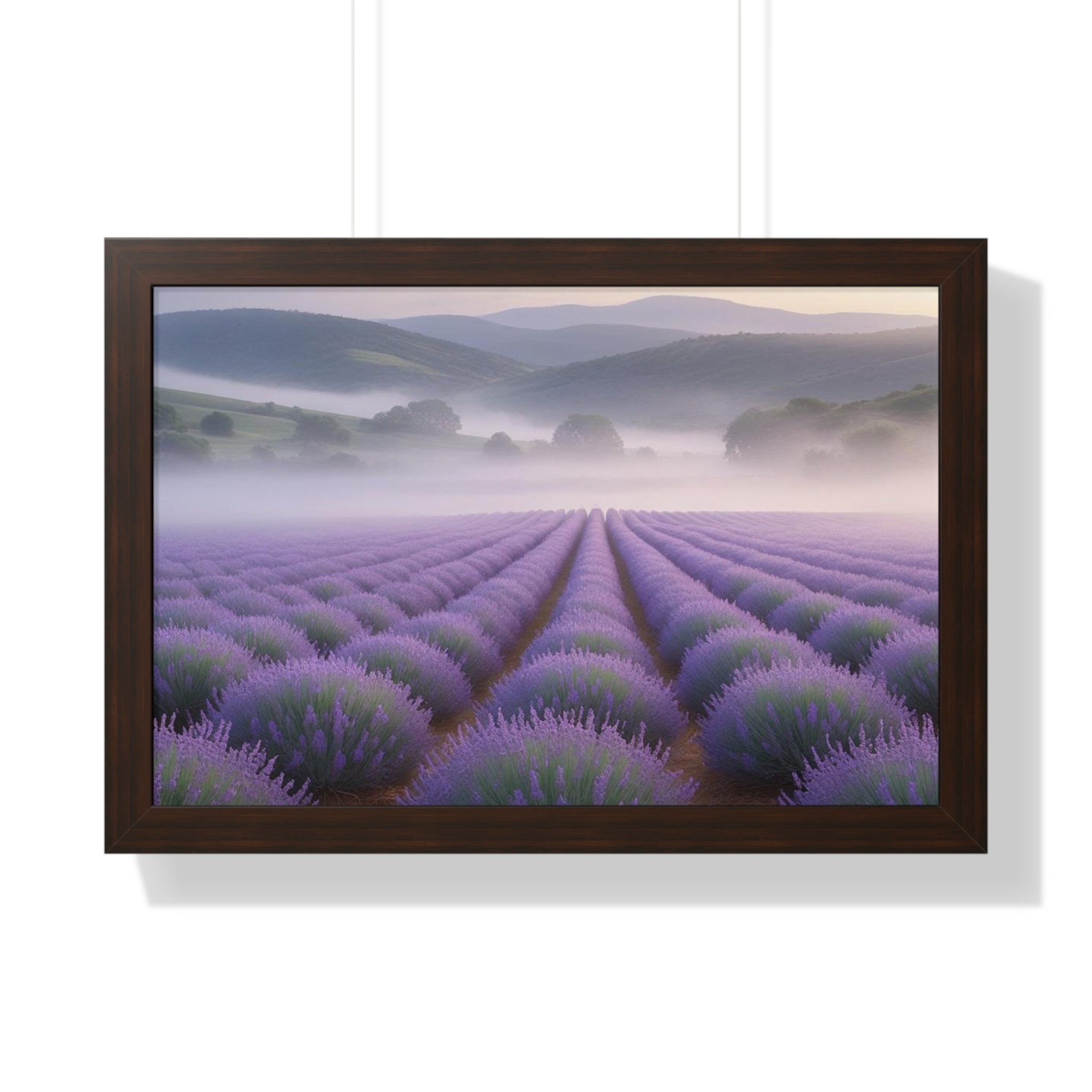 Lavender Fields Framed Poster